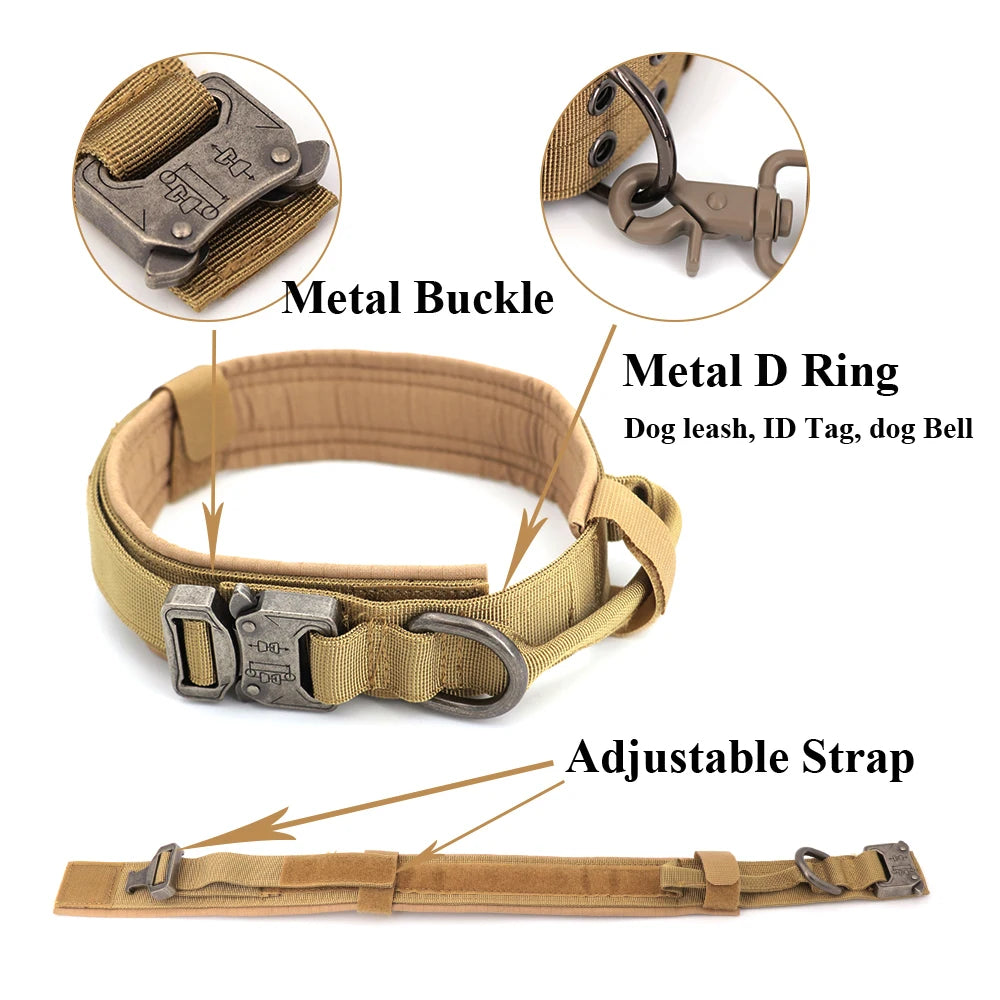 Dog Training Collar