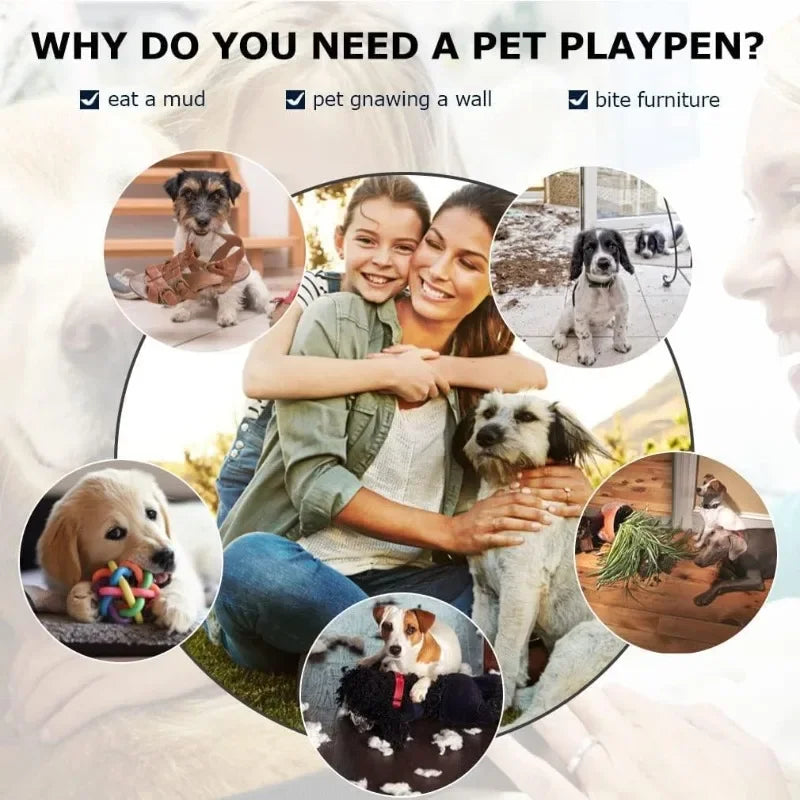 Dog Crates for Large Dogs