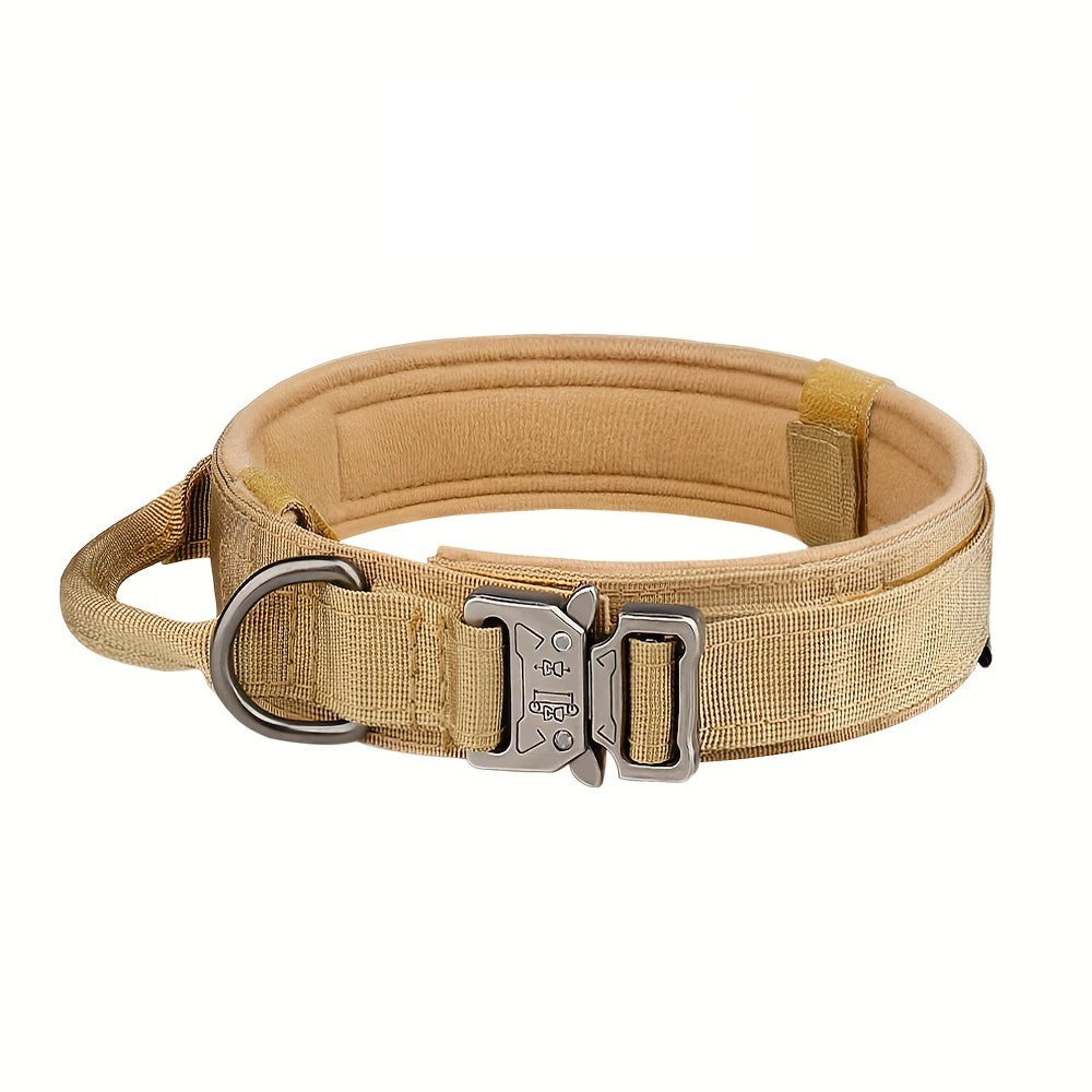 Dog Training Collar