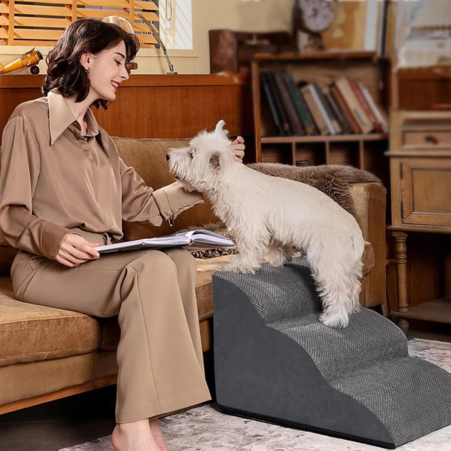Pets Steps For Dogs