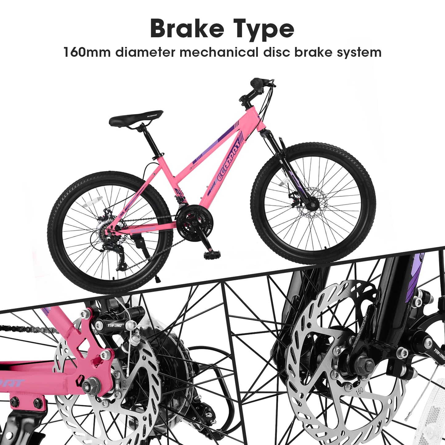 Ecarpat Mountain Bike
