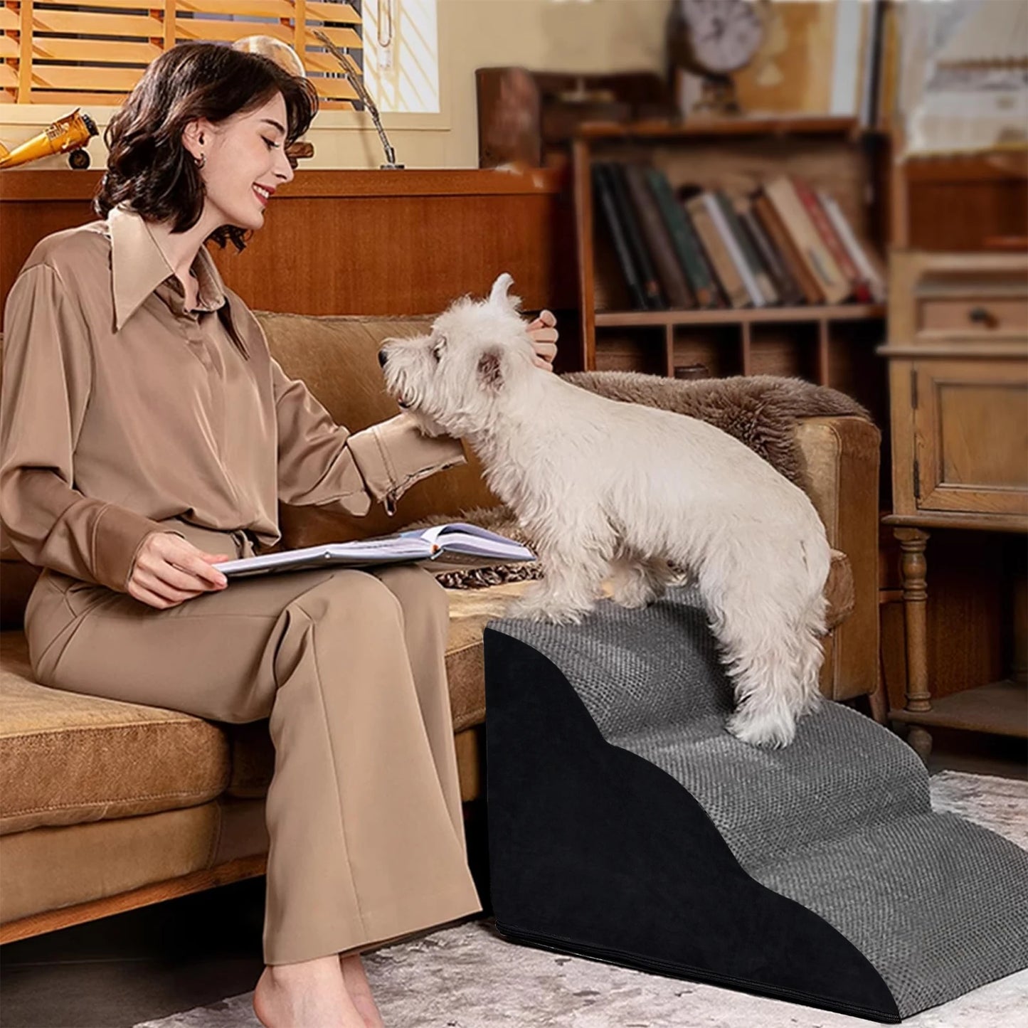 Pets Steps For Dogs
